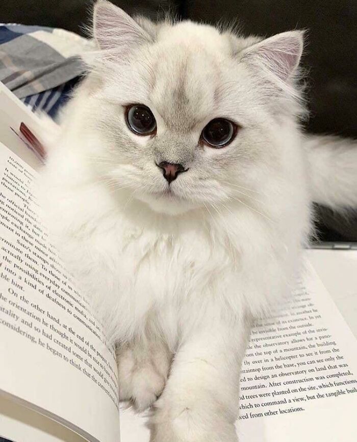 image-20230322145404-1