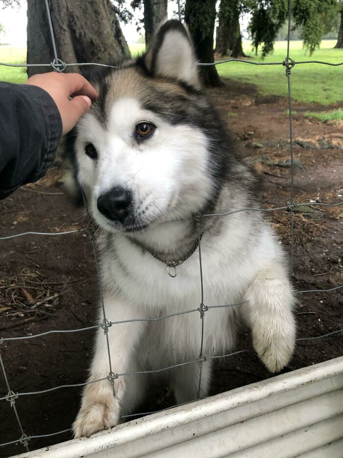 image-20230322145409-3