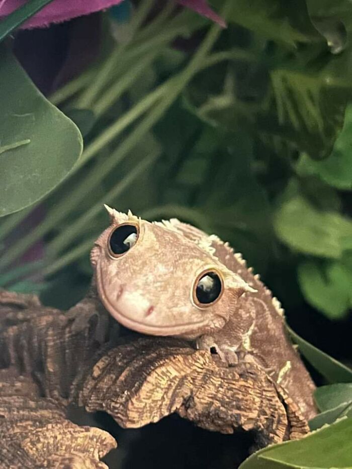 image-20230322145411-4