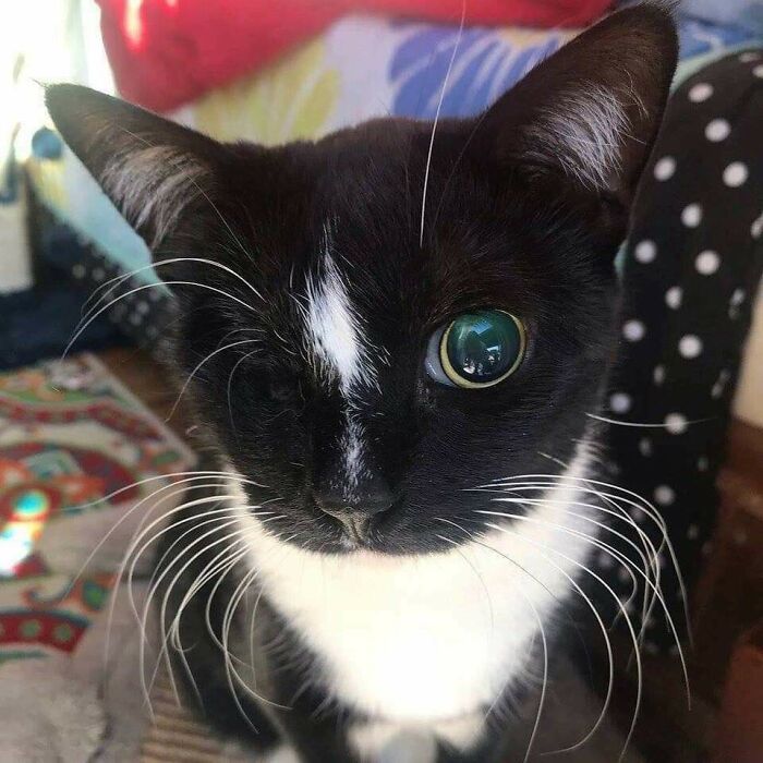 image-20230322145415-5