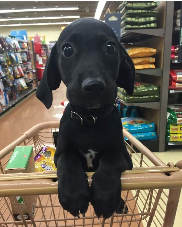 image-20230322145430-10