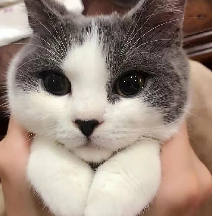 image-20230322145435-11