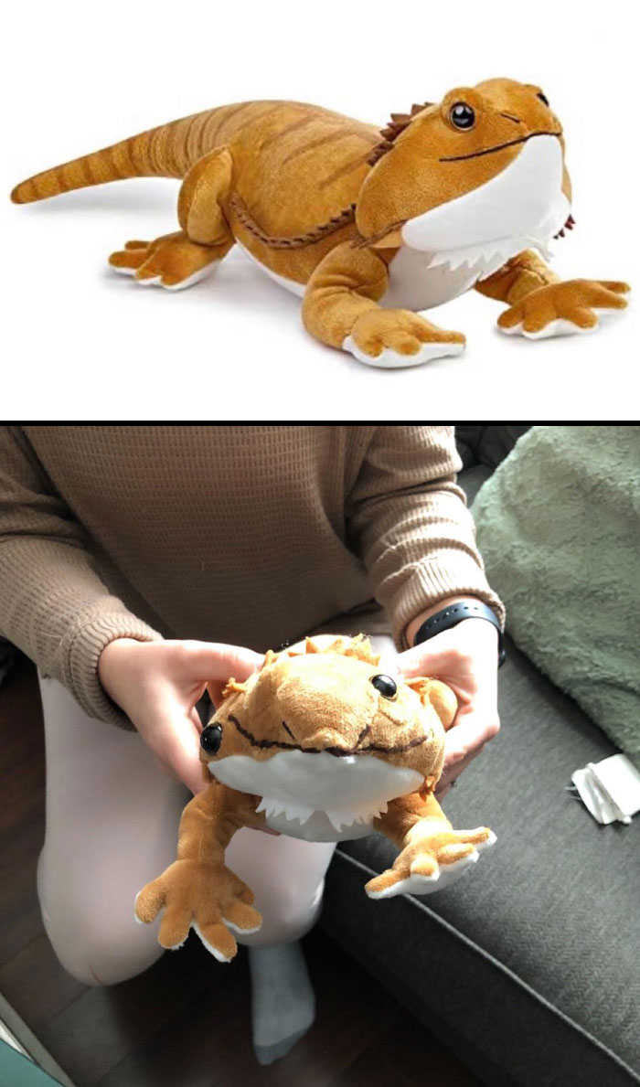 image-20230322201207-3