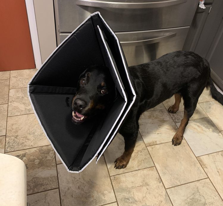 image-20230322201425-14