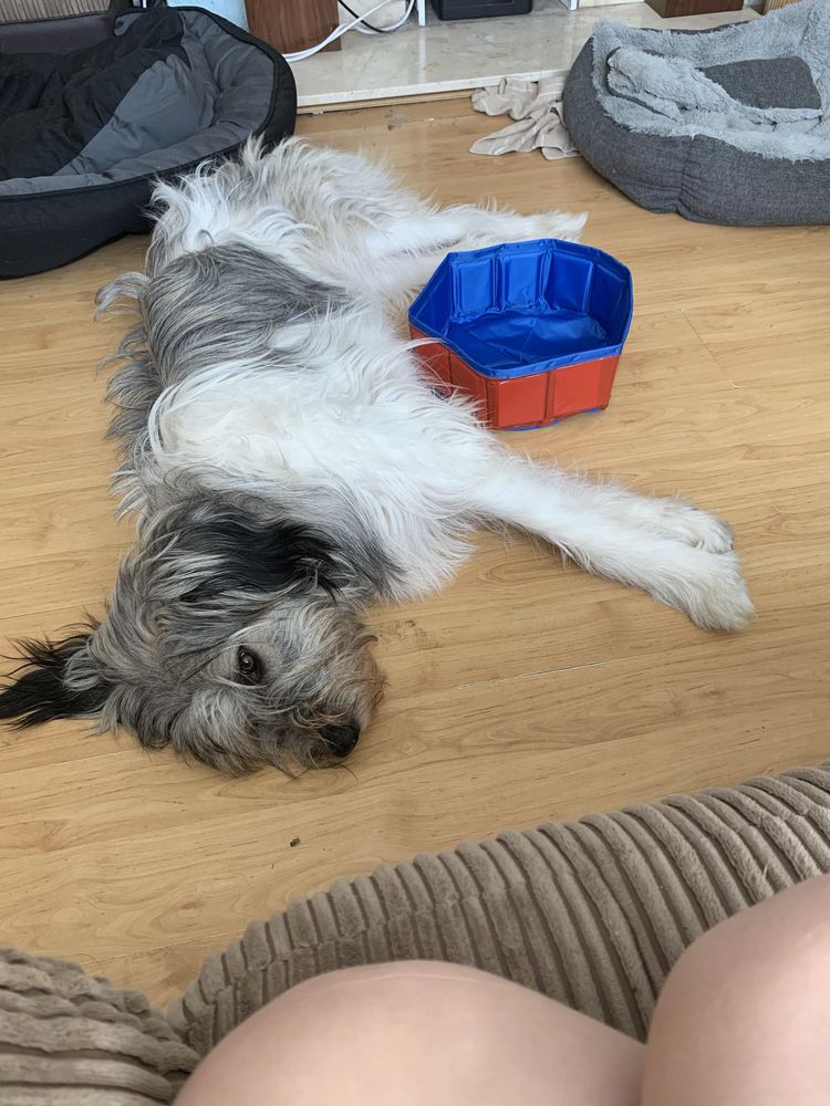 image-20230322201431-16