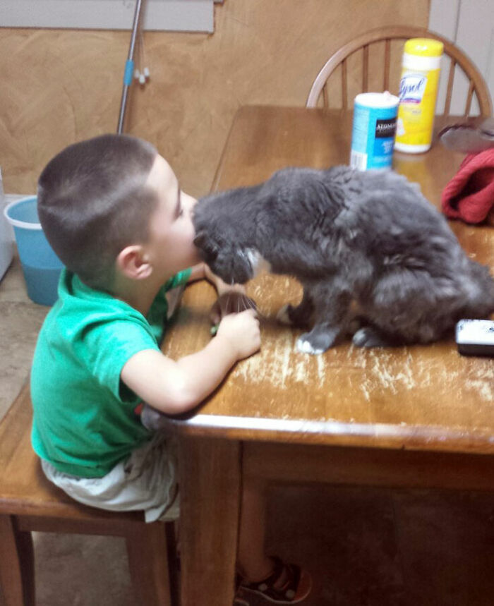 image-20230324122606-6