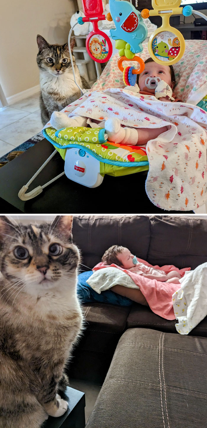 image-20230324122639-14