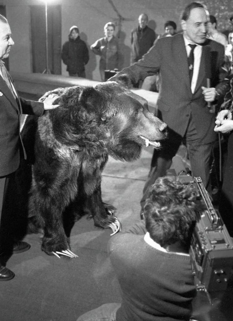 image-20230327140801-9