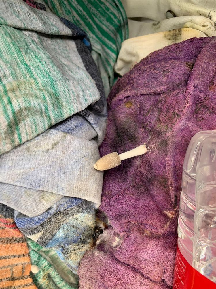 image-20230327211833-4