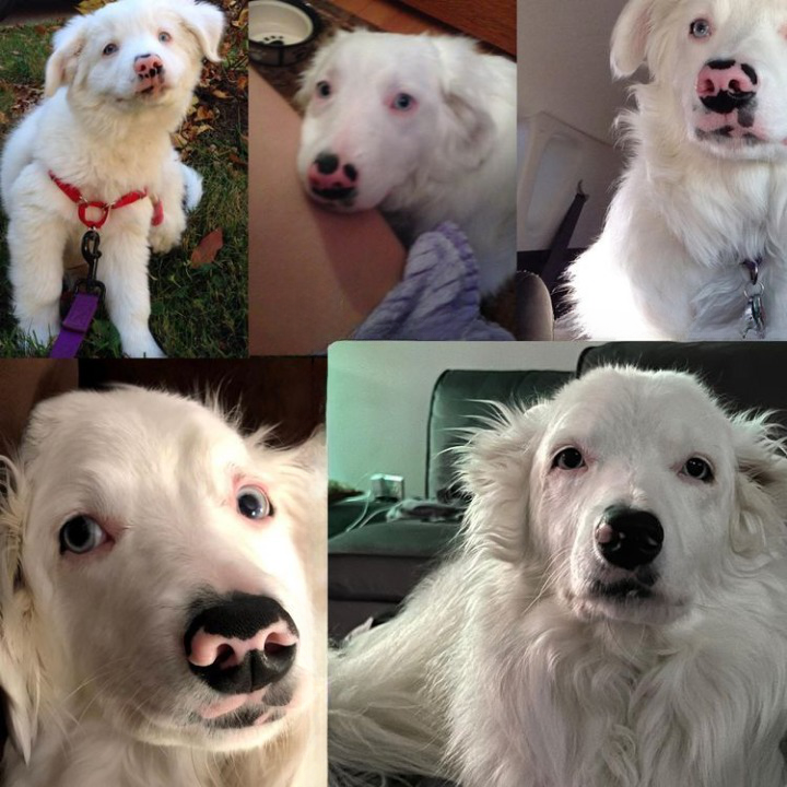 image-20230327211927-13