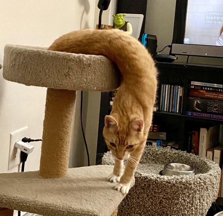 image-20230328115804-2