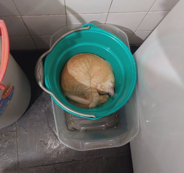 image-20230328115807-3