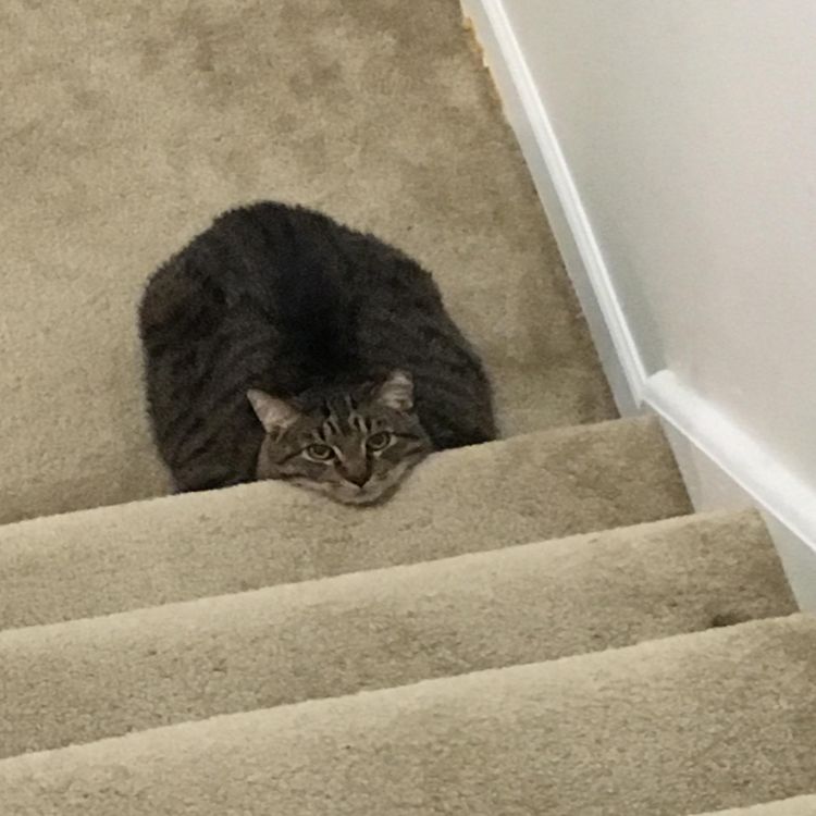 image-20230328115810-4