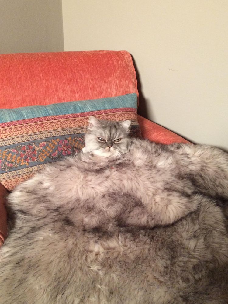 image-20230328115854-11