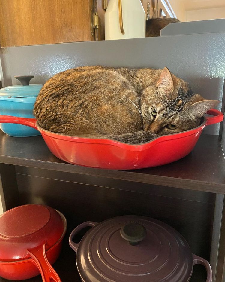 image-20230328115930-15