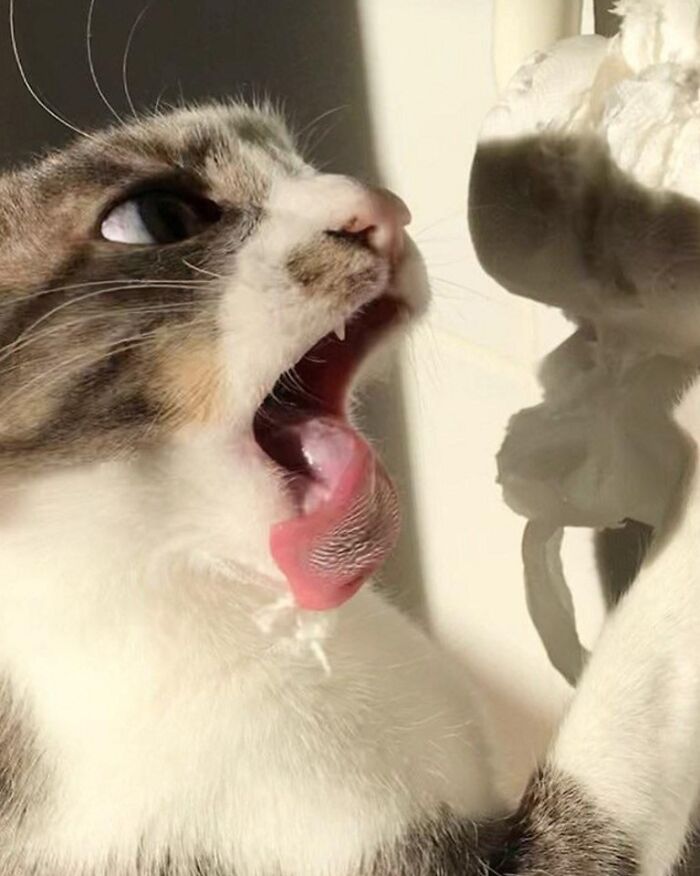 image-20230329141856-2