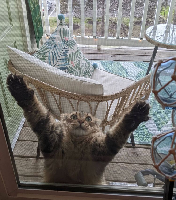 image-20230329141901-4