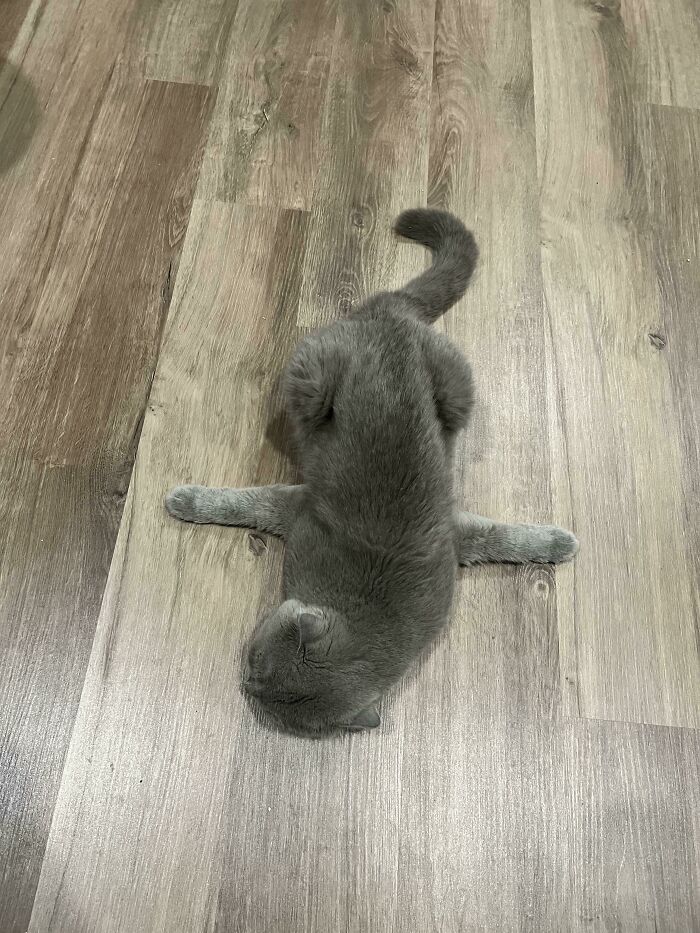 image-20230329141905-5