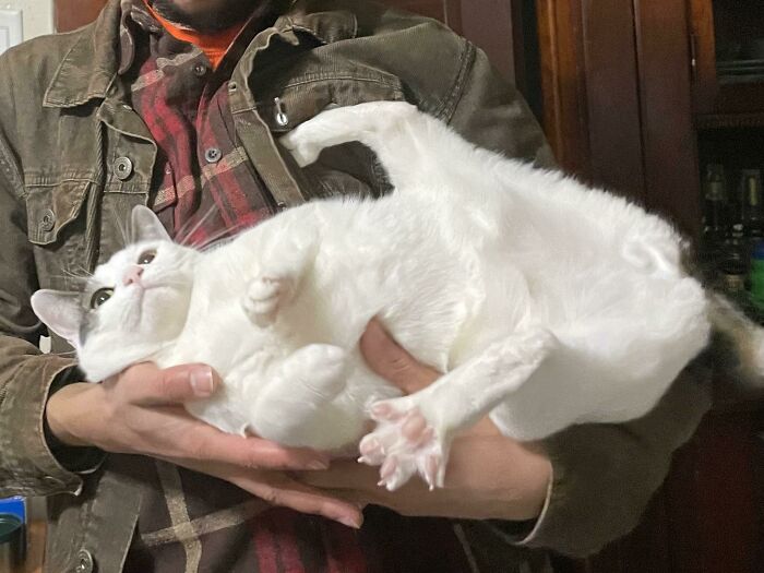 image-20230329141908-6