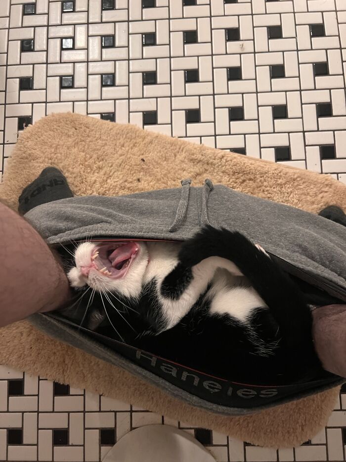 image-20230329141933-8