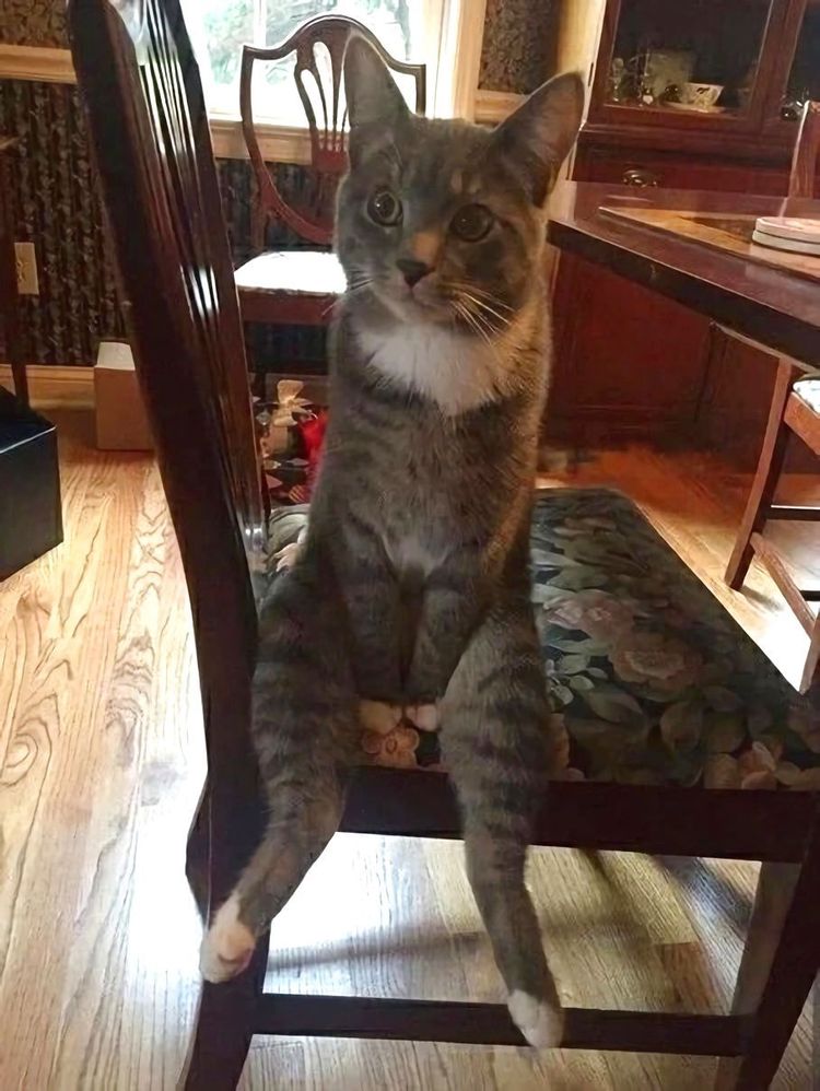 image-20230329141937-9