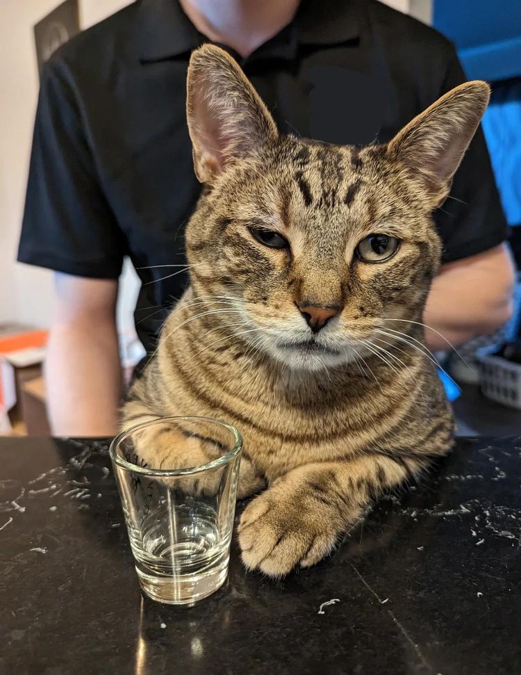 image-20230329141940-10