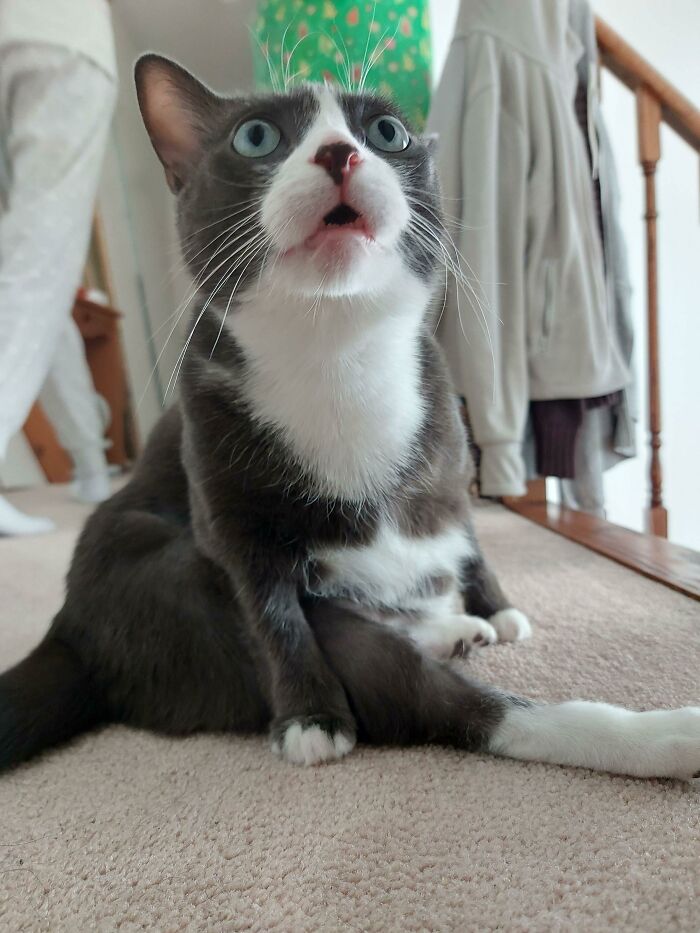 image-20230329142013-11