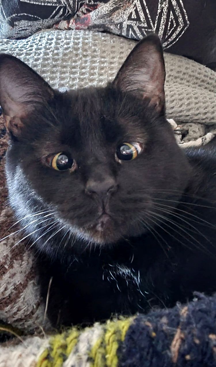 image-20230329142017-12