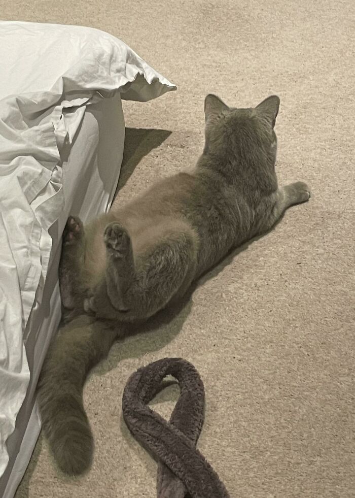 image-20230329142022-13