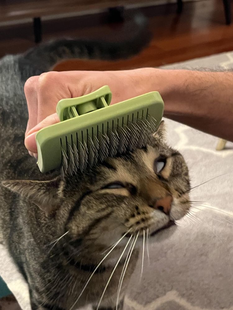 image-20230329142113-16