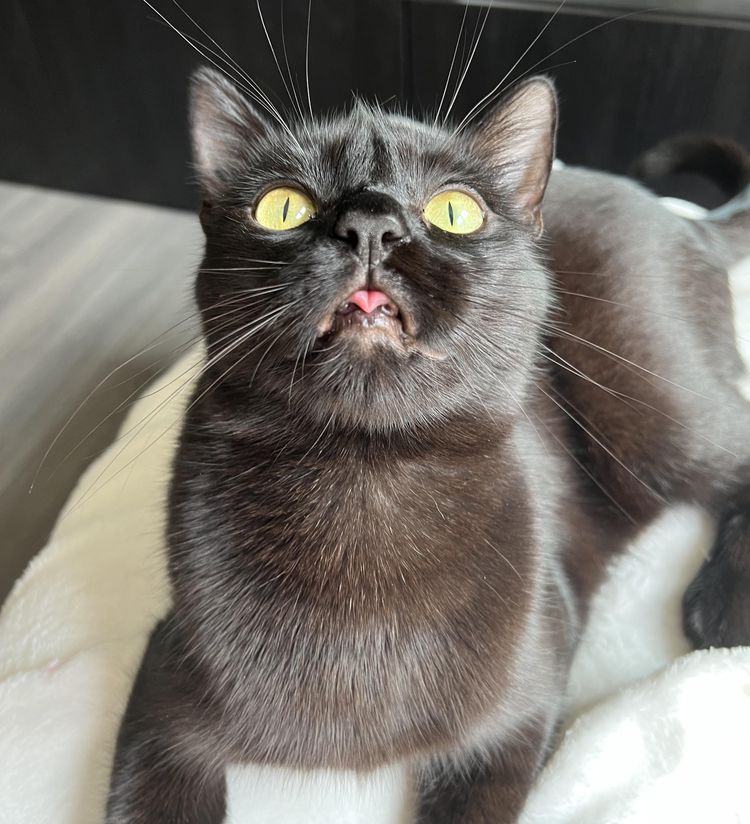 image-20230329142116-17