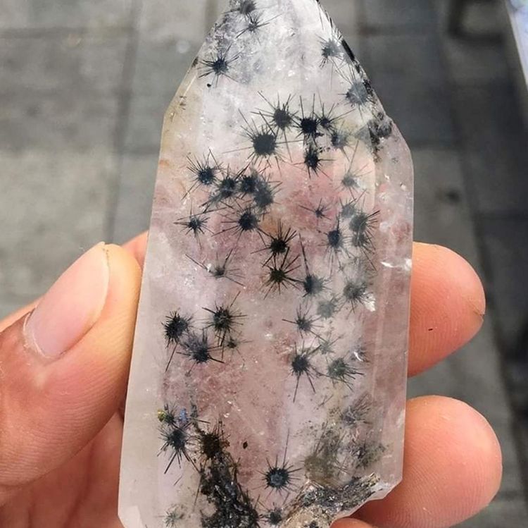 image-20230330221624-16