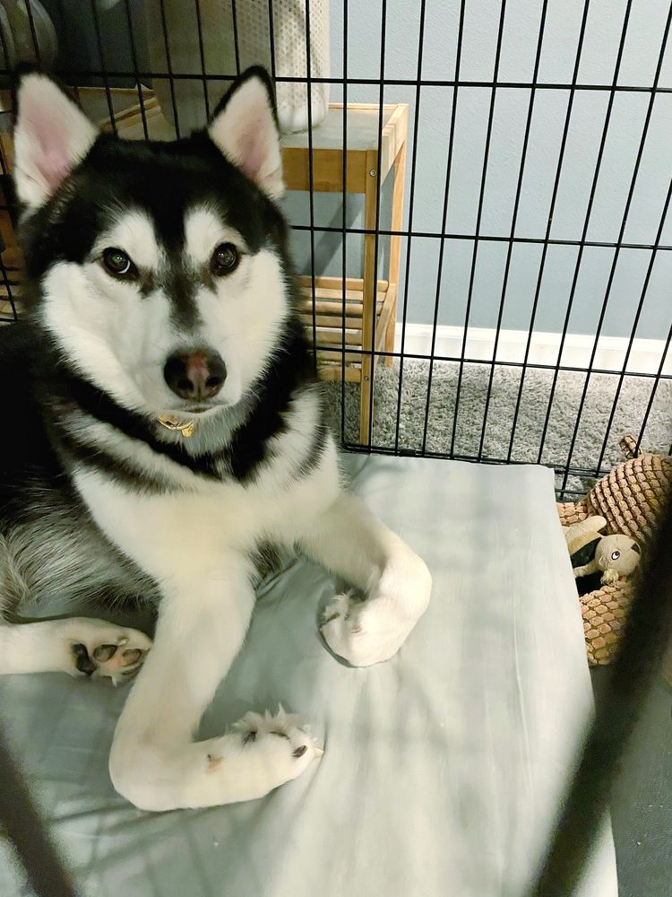 image-20230331143055-1