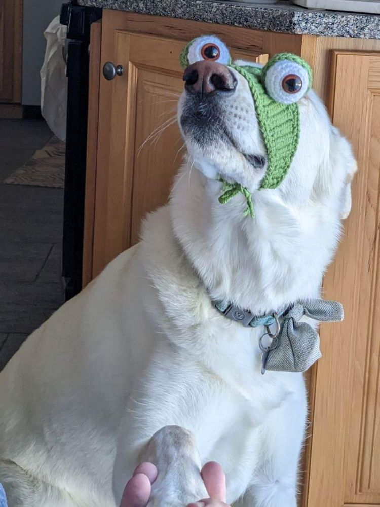 image-20230331143105-3