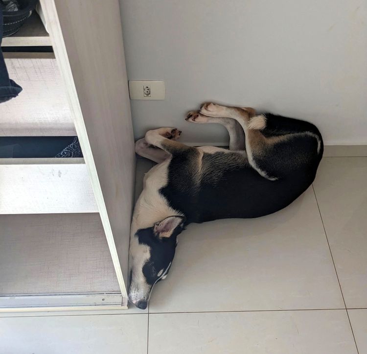 image-20230331143112-5