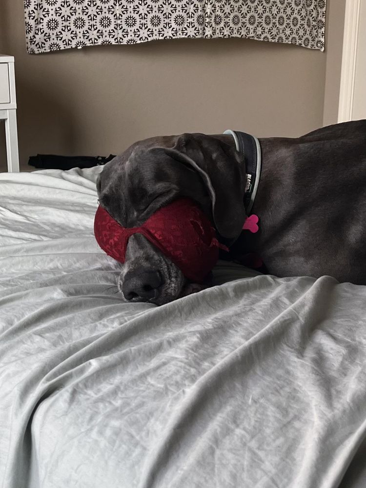 image-20230331143300-7