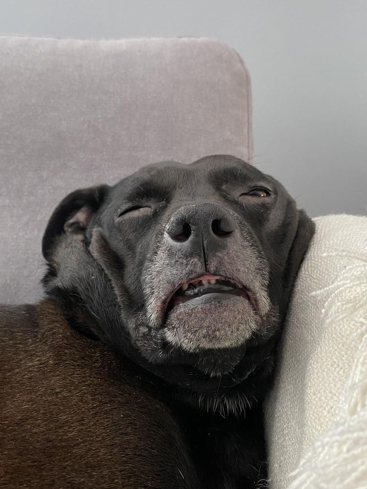 image-20230331143314-9