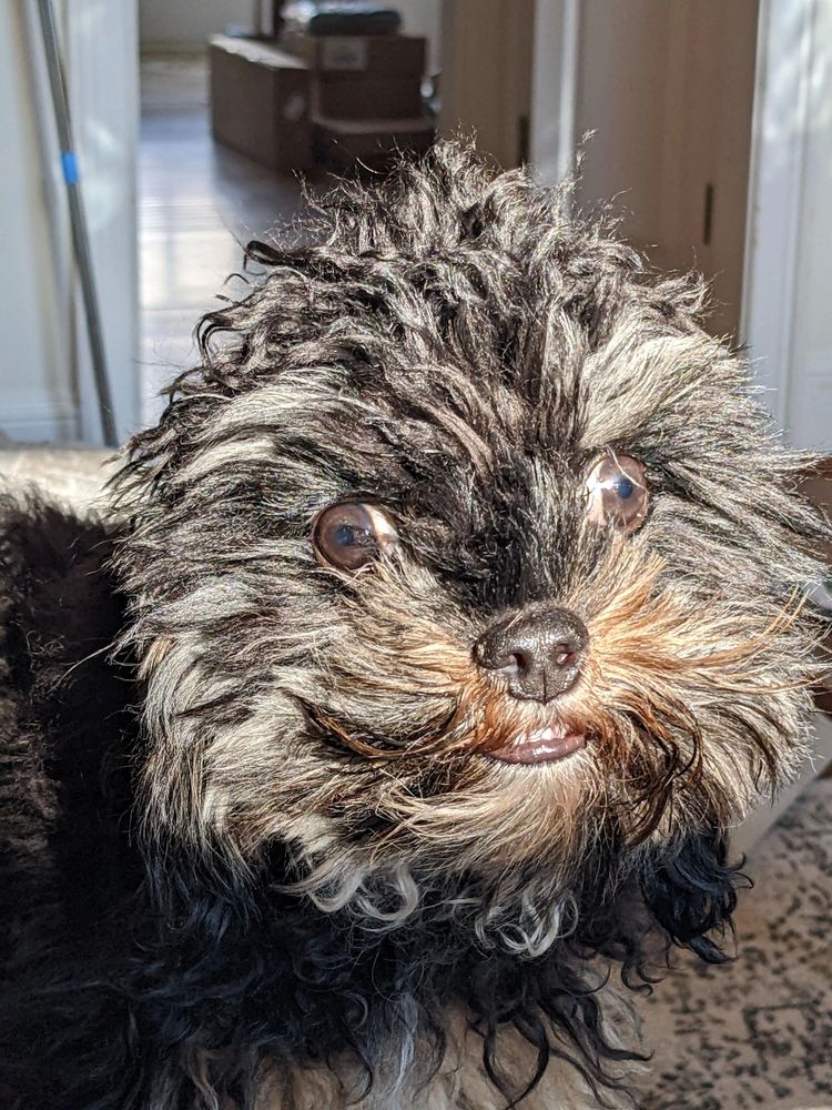 image-20230331143316-10