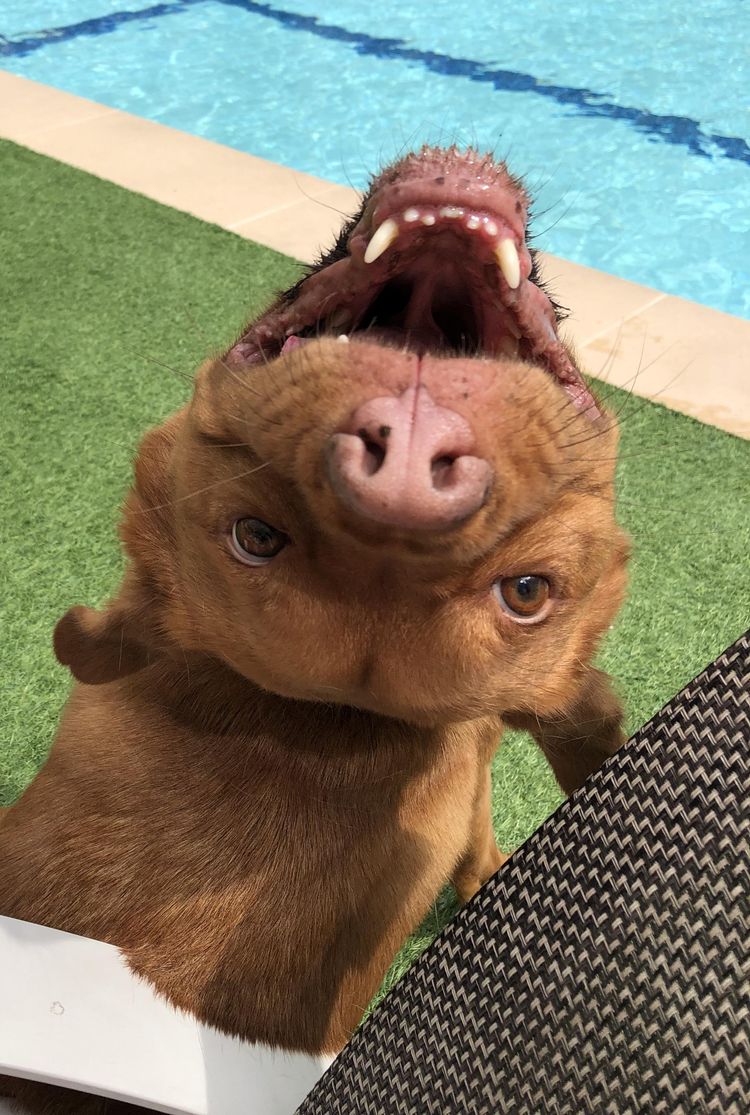 image-20230331143319-11