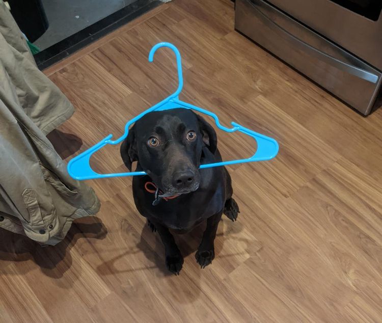 image-20230331143322-12