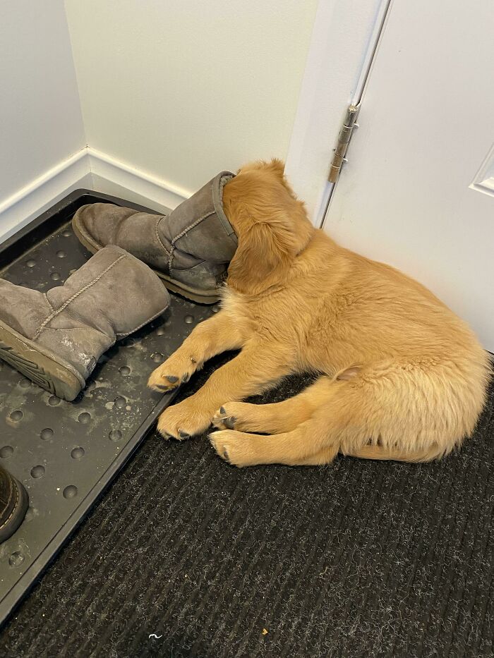 image-20230331143353-15