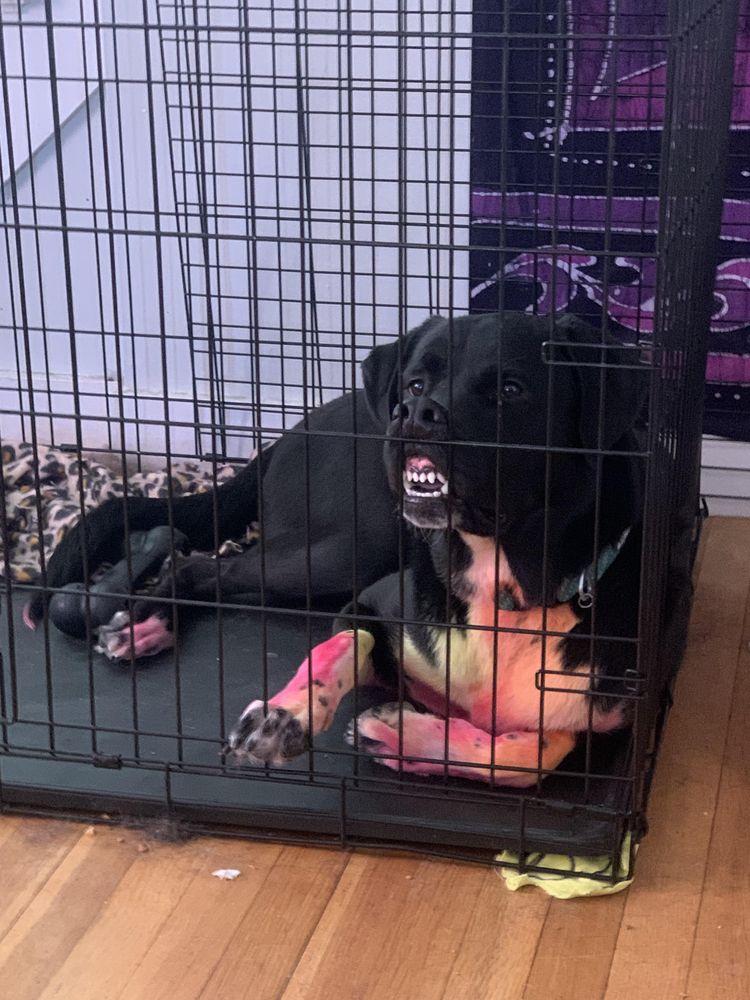 image-20230331143356-16