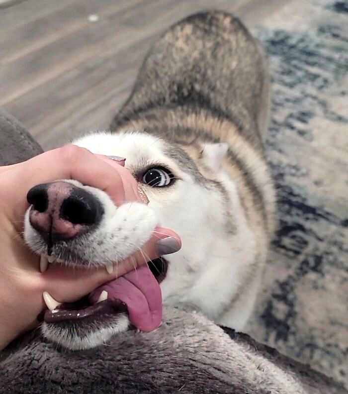 image-20230331143359-17