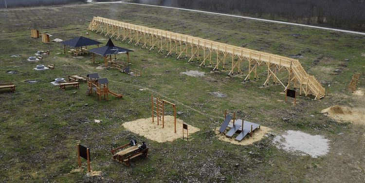 image-20230331145348-1