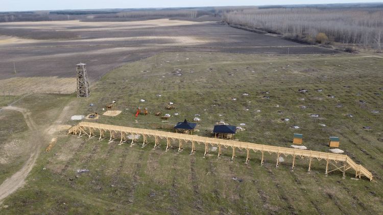 image-20230331145353-2