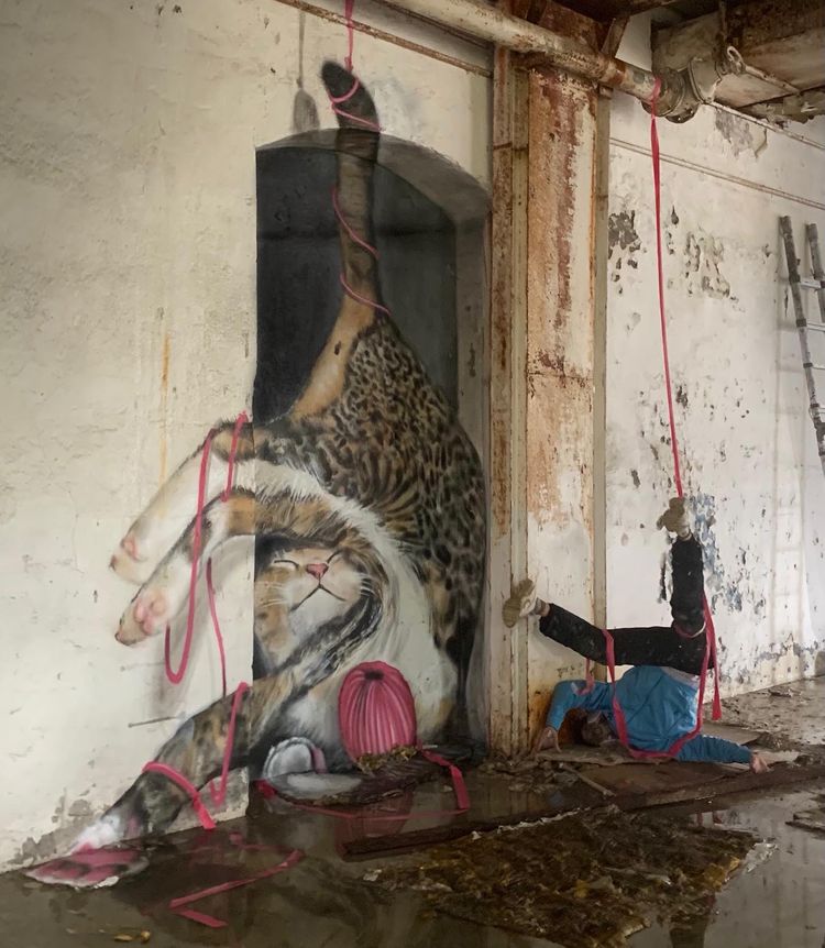 image-20230403120017-8