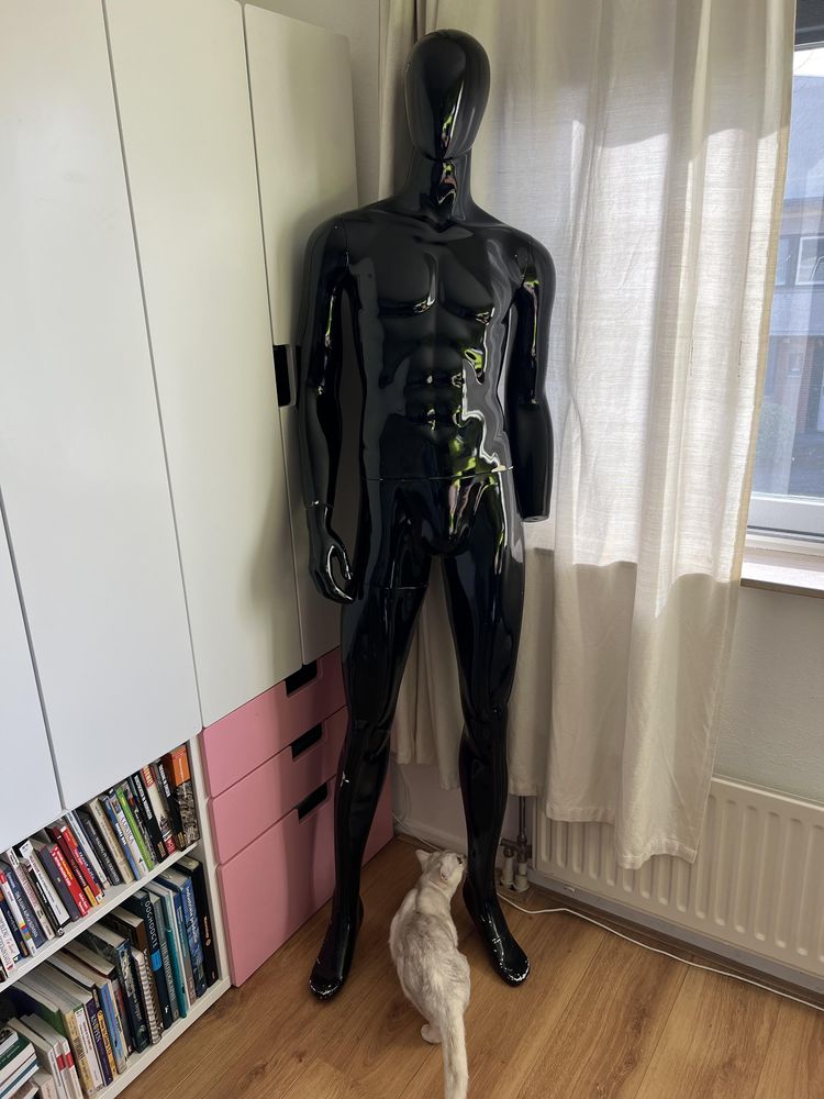 image-20230405124958-4