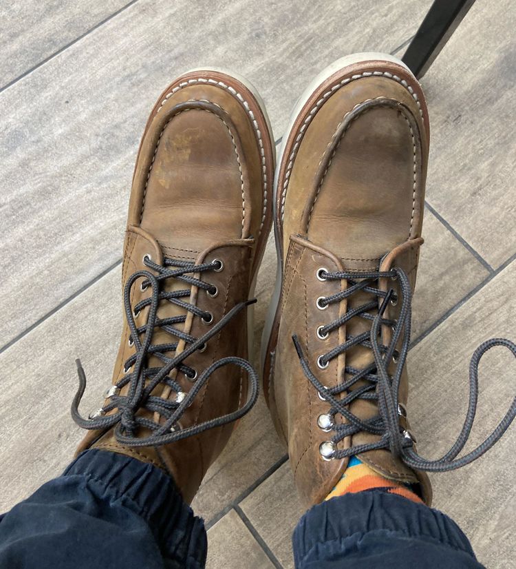 image-20230405125011-8