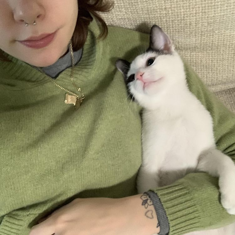 image-20230405151133-14