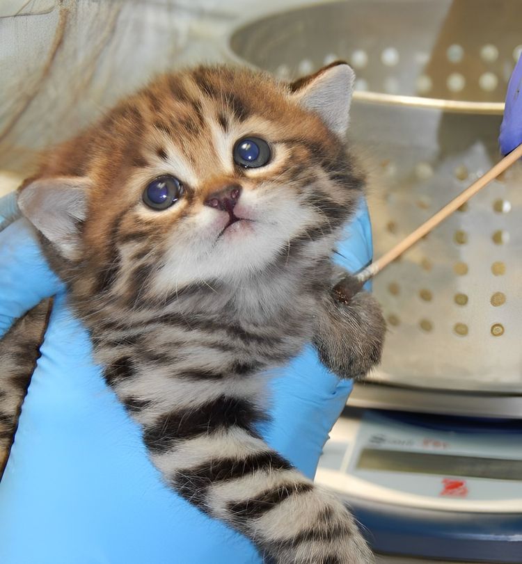 image-20230405151135-15